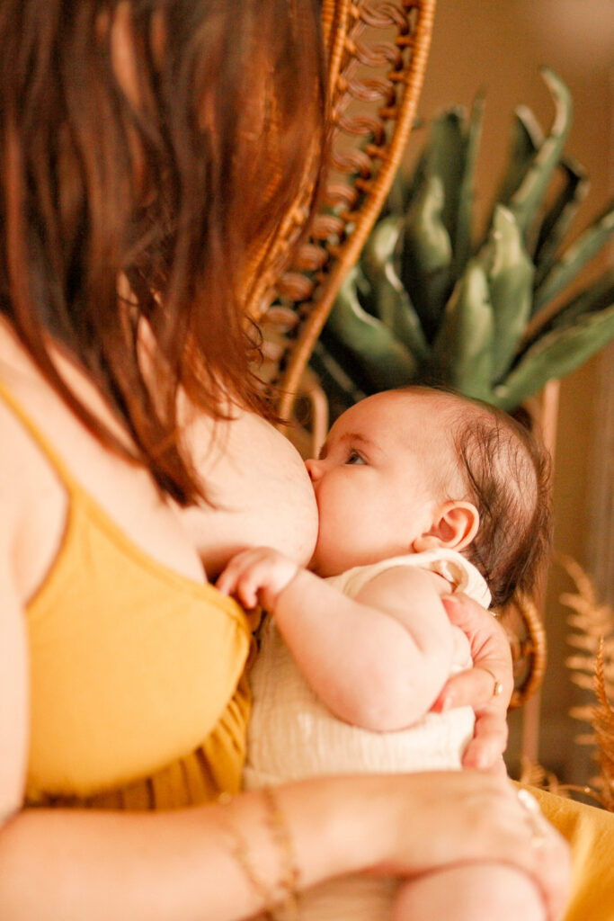 allaitement maman garçon studio limousin